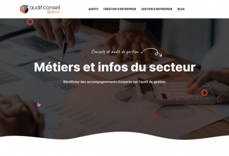 https://www.audit-conseil-gestion.com